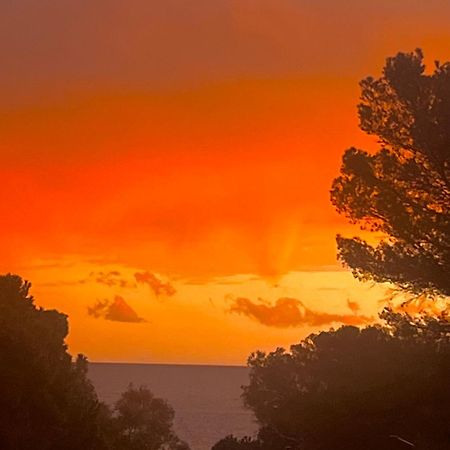 Maison Classee Sur Le Golfe De St Tropez Сен Тропе Екстериор снимка