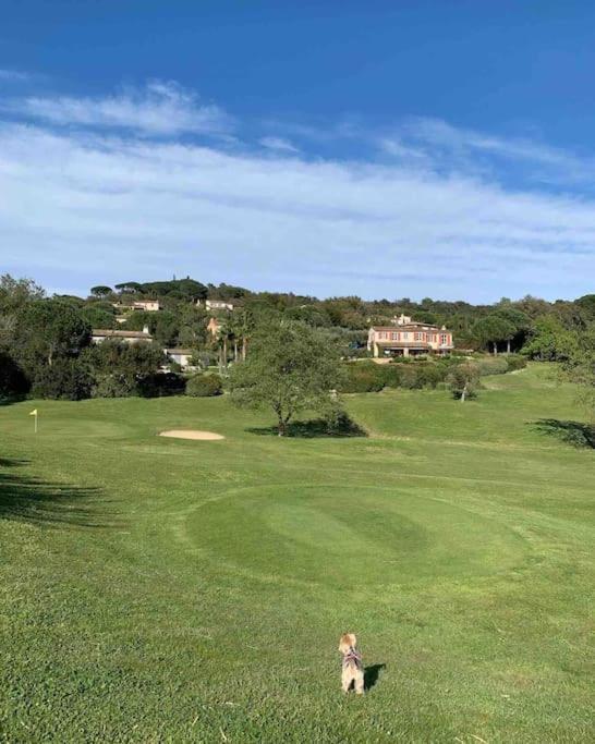 Maison Classee Sur Le Golfe De St Tropez Сен Тропе Екстериор снимка